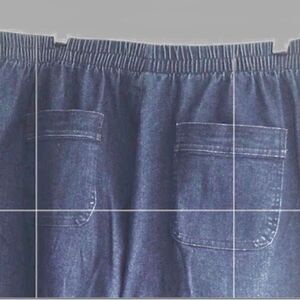 NWT Allison Daley Plus Women’s Blue Denim Pants 4 Pockets Comfy Elastic Waist